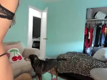 anniebella69 from Chaturbate is Freechat