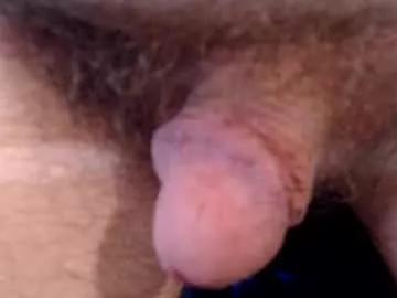 bobswan from Chaturbate is Freechat