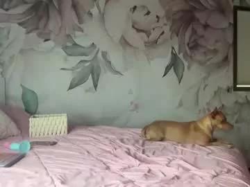 booksnlooksgirl from Chaturbate is Freechat