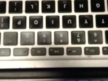 openlynasty from Chaturbate is Freechat