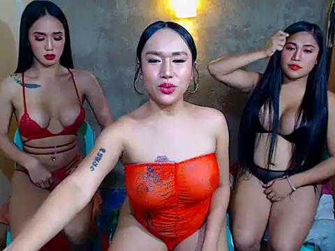 Customizable and immersive: Energize your taste buds and checkout our delicious choice of amateur cams liveshows with excited livestreamers getting their sweet physiques pounded with their beloved vibrating toys.