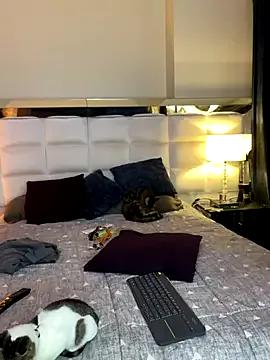 adam_and_cat from StripChat is Freechat