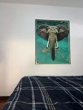 Customizable and immersive: Energize your taste buds and checkout our delicious choice of amateur cams liveshows with excited livestreamers getting their sweet physiques pounded with their beloved vibrating toys.