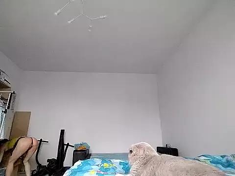 Customizable and immersive: Energize your taste buds and checkout our delicious choice of amateur cams liveshows with excited livestreamers getting their sweet physiques pounded with their beloved vibrating toys.