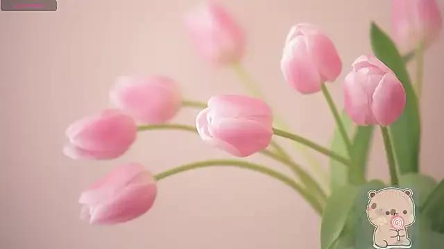 Crystal_MM from StripChat is Freechat