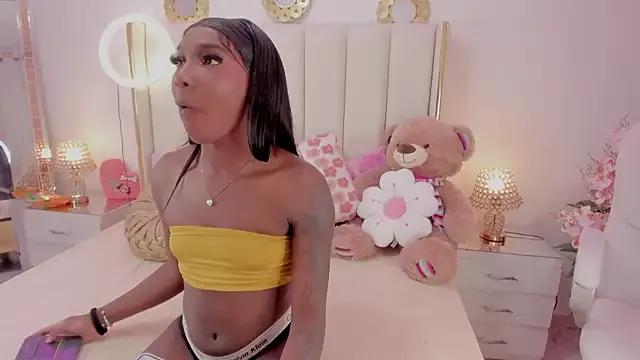 evangelin_ts from StripChat is Freechat