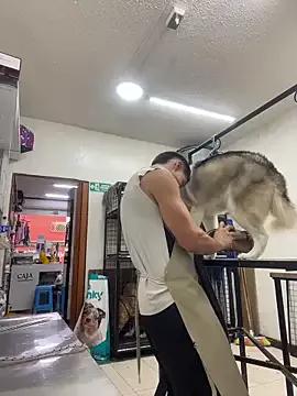 Leonardmoppet from StripChat is Freechat