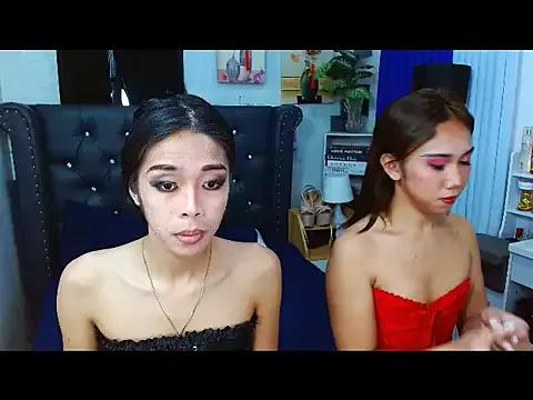 LovelyTs4U from StripChat is Freechat