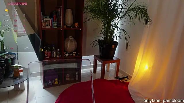 Customizable and immersive: Energize your taste buds and checkout our delicious choice of amateur cams liveshows with excited livestreamers getting their sweet physiques pounded with their beloved vibrating toys.