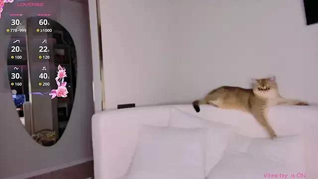 Customizable and immersive: Energize your taste buds and checkout our delicious choice of amateur cams liveshows with excited livestreamers getting their sweet physiques pounded with their beloved vibrating toys.