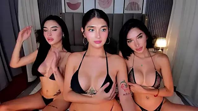 Customizable and immersive: Energize your taste buds and checkout our delicious choice of amateur cams liveshows with excited livestreamers getting their sweet physiques pounded with their beloved vibrating toys.