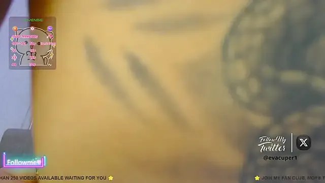 Freechat eva_cuper on StripChat